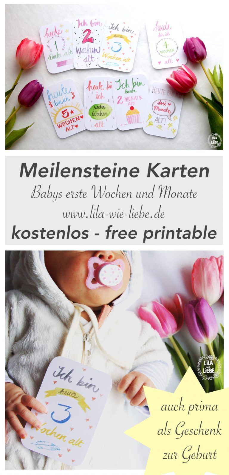 Baby Geschenke Gratis
 Baby Meilensteine Karten Gratis Druckvorlage free