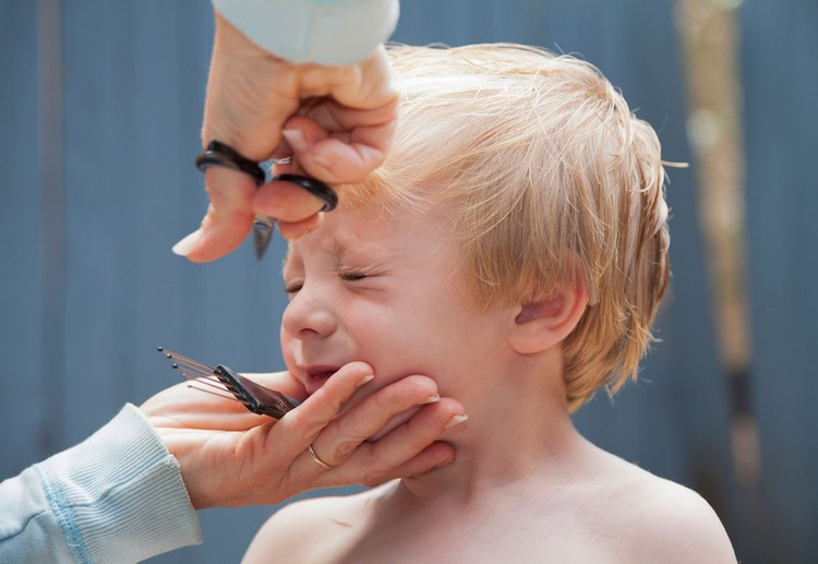 Baby Haarschnitt
 Zeit für den ersten Baby Haarschnitt So schneiden Sie