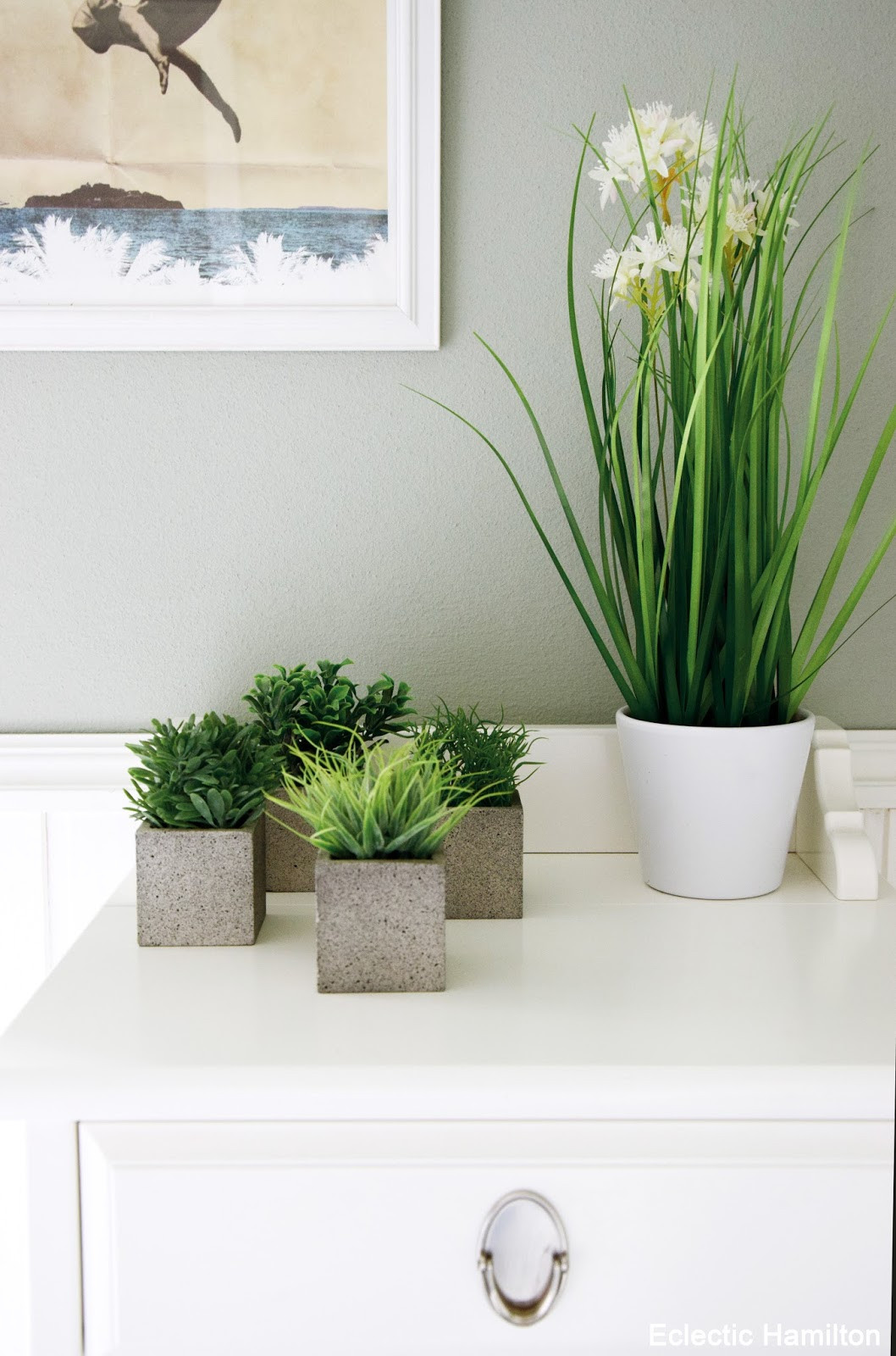 Badezimmer Pflanzen
 Pflanzen für mein Badezimmer und Einblicke endlich