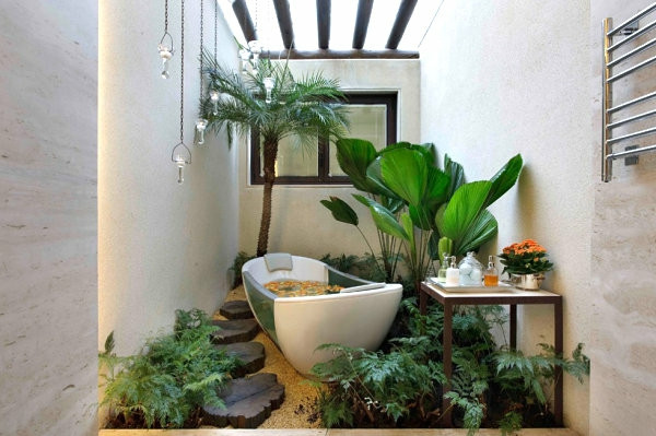 Badezimmer Pflanzen
 Pflanzen im Badezimmer besten Vorschläge für Sie