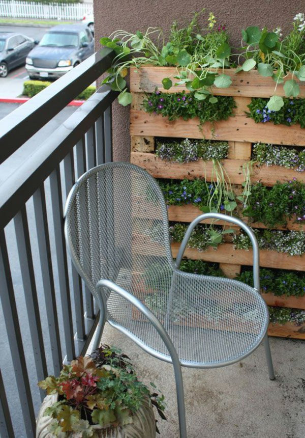 Balkon Sichtschutz Diy
 Holzpaletten Balkon Sichtschutz Wandbegrnung Aus Paletten