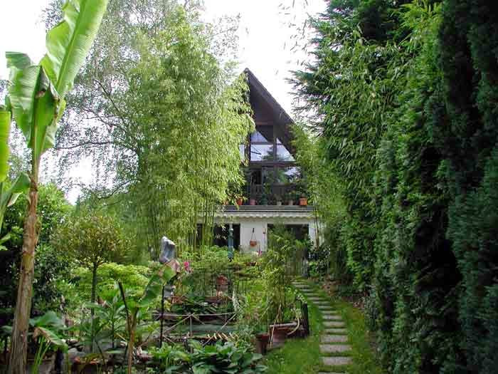 Bambus Garten
 Bambus garten