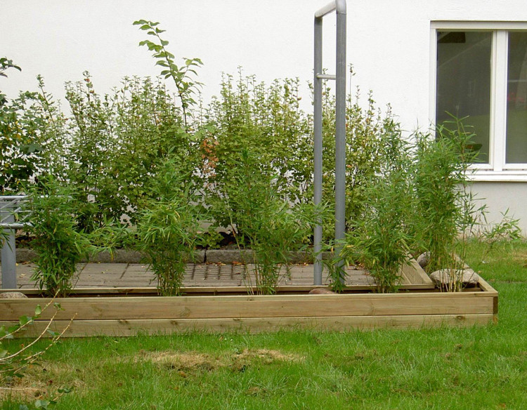 Bambus Garten
 Bambus im Garten faszinierend und vielseitig einsetzbar