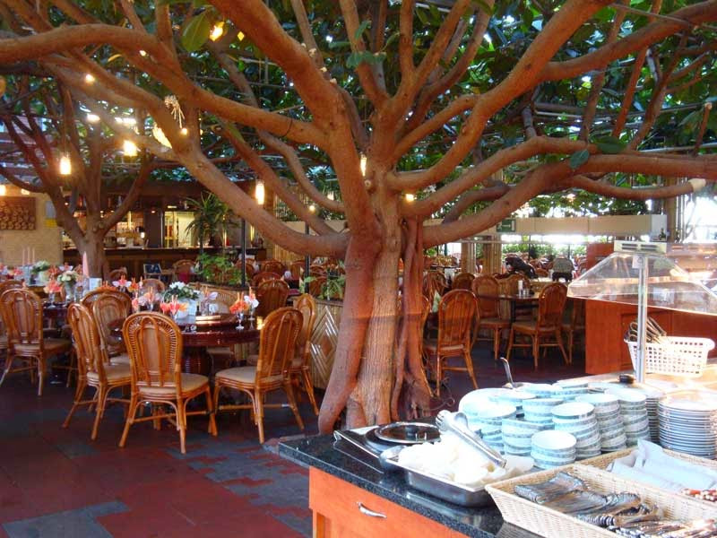 Bambus Garten
 Bambus garten