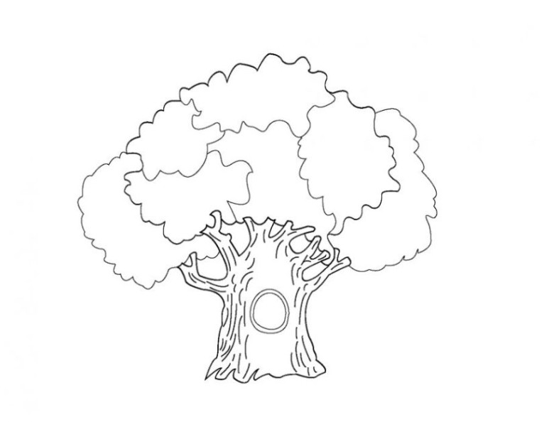 Baum Ausmalbilder
 Vorlagen zum Ausmalen Malvorlagen Baum Ausmalbilder 2