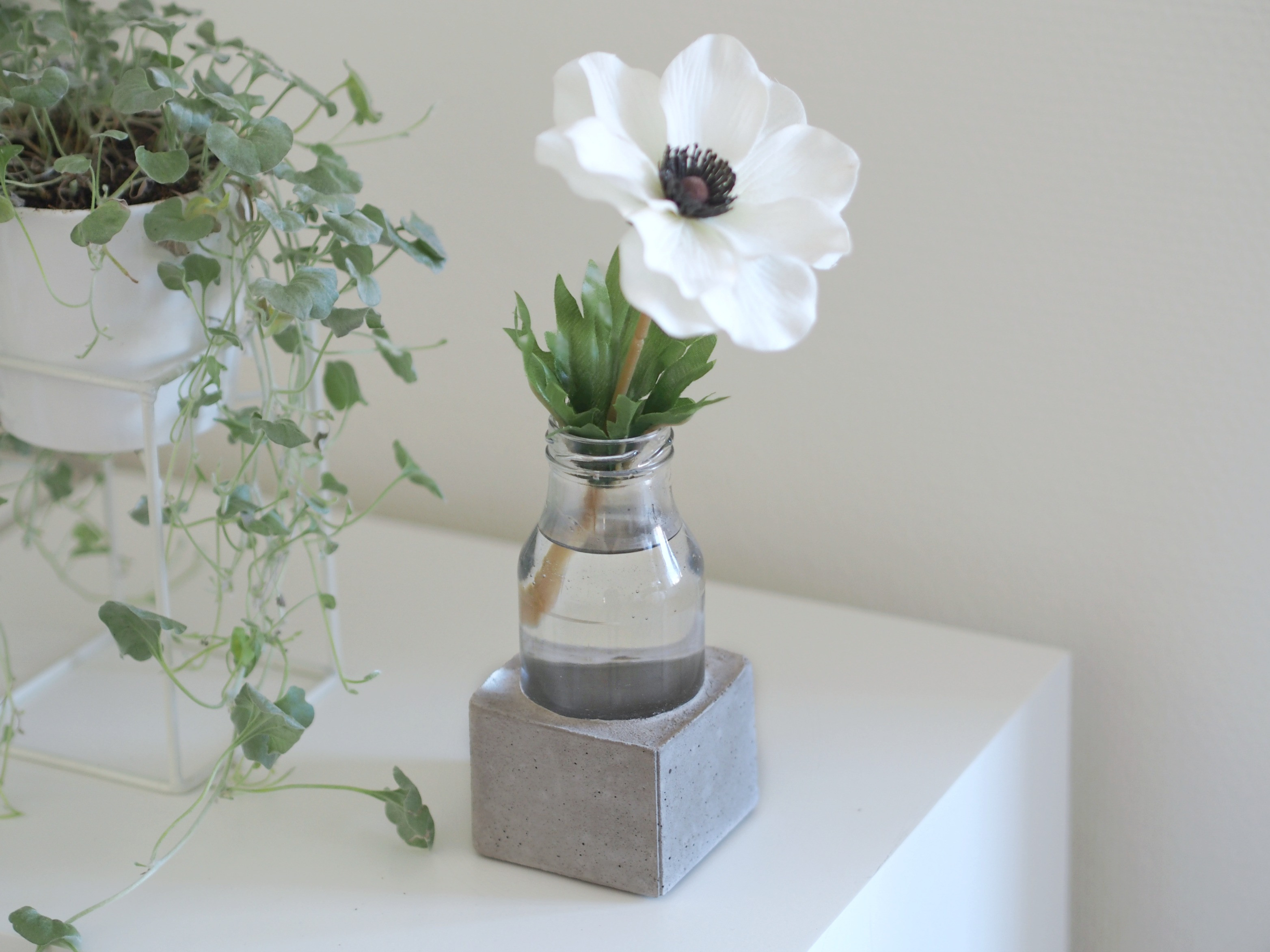 Beton Vase Diy
 DIY beton vase