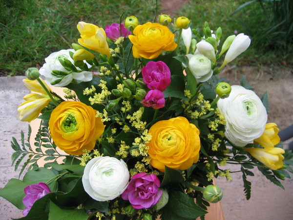 Bilder Geburtstag Blumen
 Bild 10 aus Beitrag Fotos mit verschiedenen Blumen