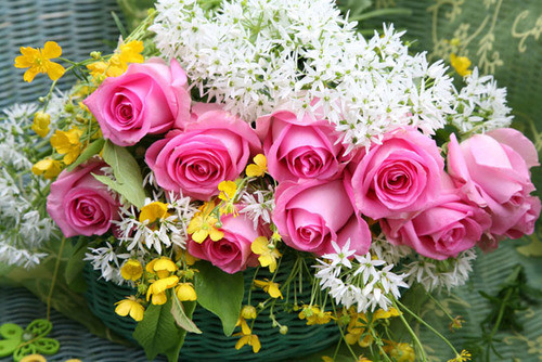 Blumen Zum Geburtstag Verschicken
 Blumen