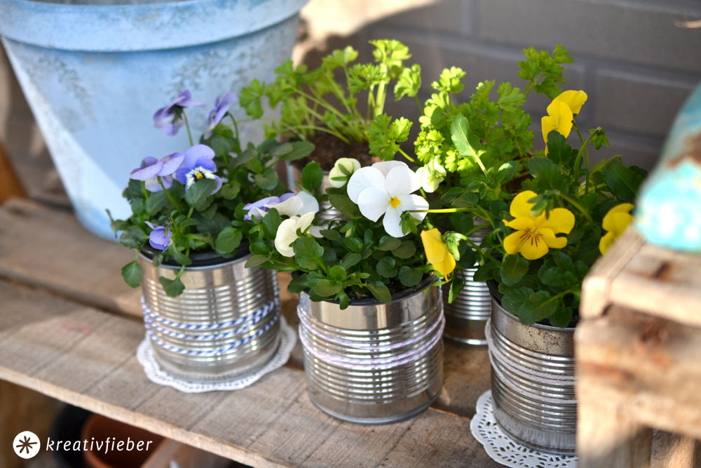 Blumentopf Diy
 DIY Blumentöpfe aus Konservendosen