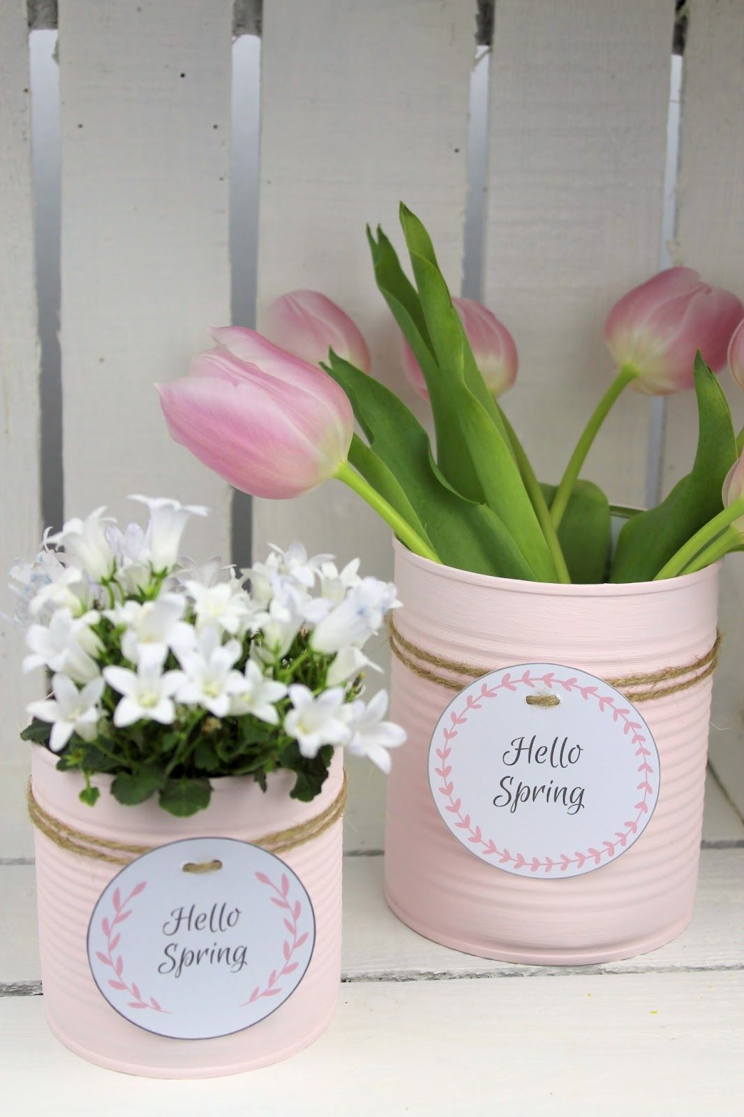 Blumentopf Diy
 DIY Recycling Bastelidee Blumentopf aus einer