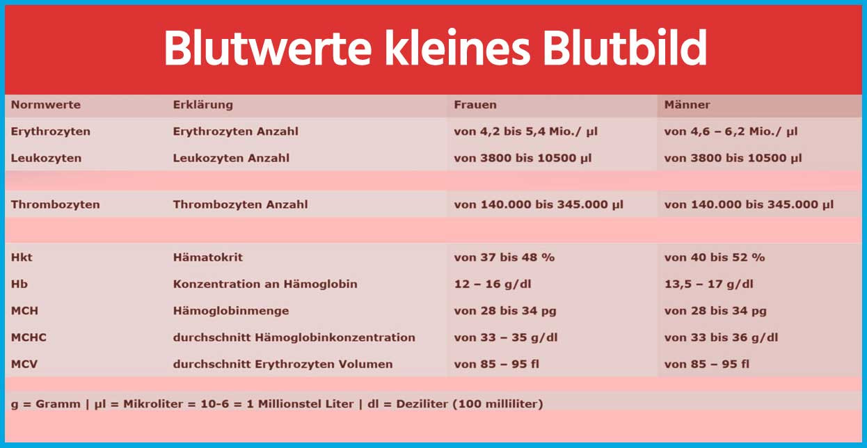 Blutwerte Tabelle
 Blutwerte und Blutbild aus dem Labor einfach