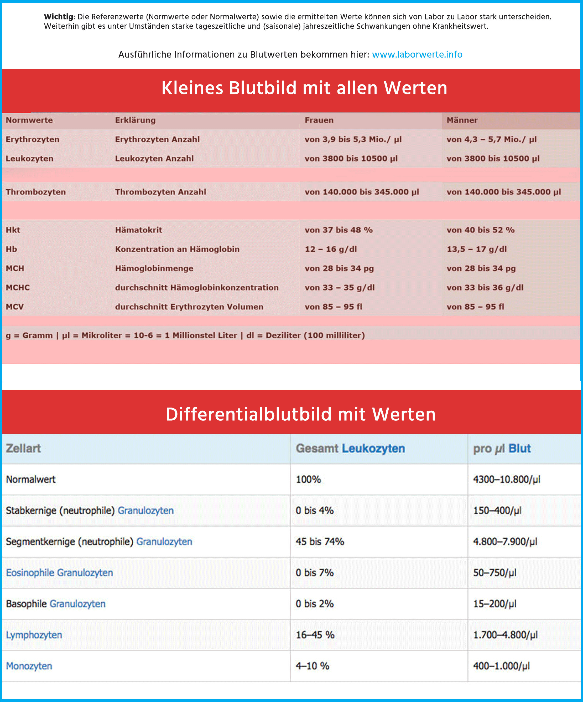 Blutwerte Tabelle
 Großes Blutbild Erklärung Werte & Abkürzungen einfach