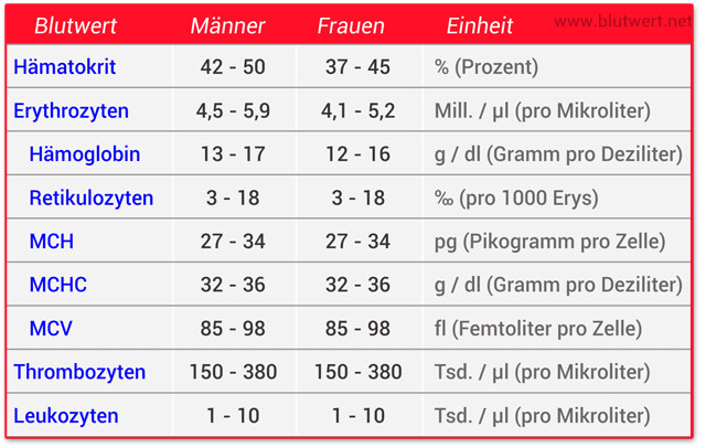 Blutwerte Tabelle
 Kleines Blutbild einfach und verständlich erklärt