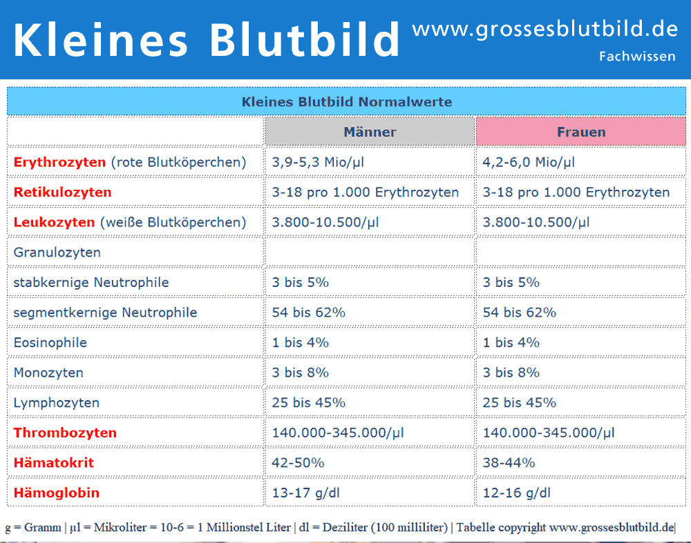 Blutwerte Tabelle
 Blutbild Erklärung und alle wichtigen Fragen zum