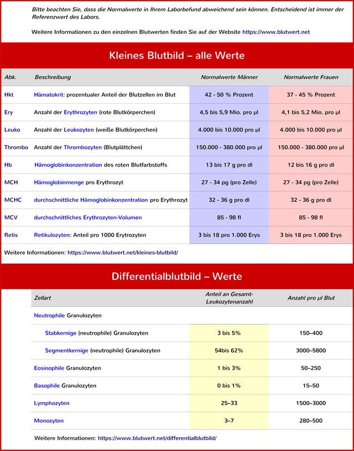 Blutwerte Tabelle
 Laborwerte & Blutwerte einfach erklärt Blutwert