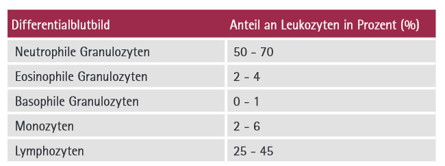 Blutwerte Tabelle
 Kompetenznetz Maligne Lymphome