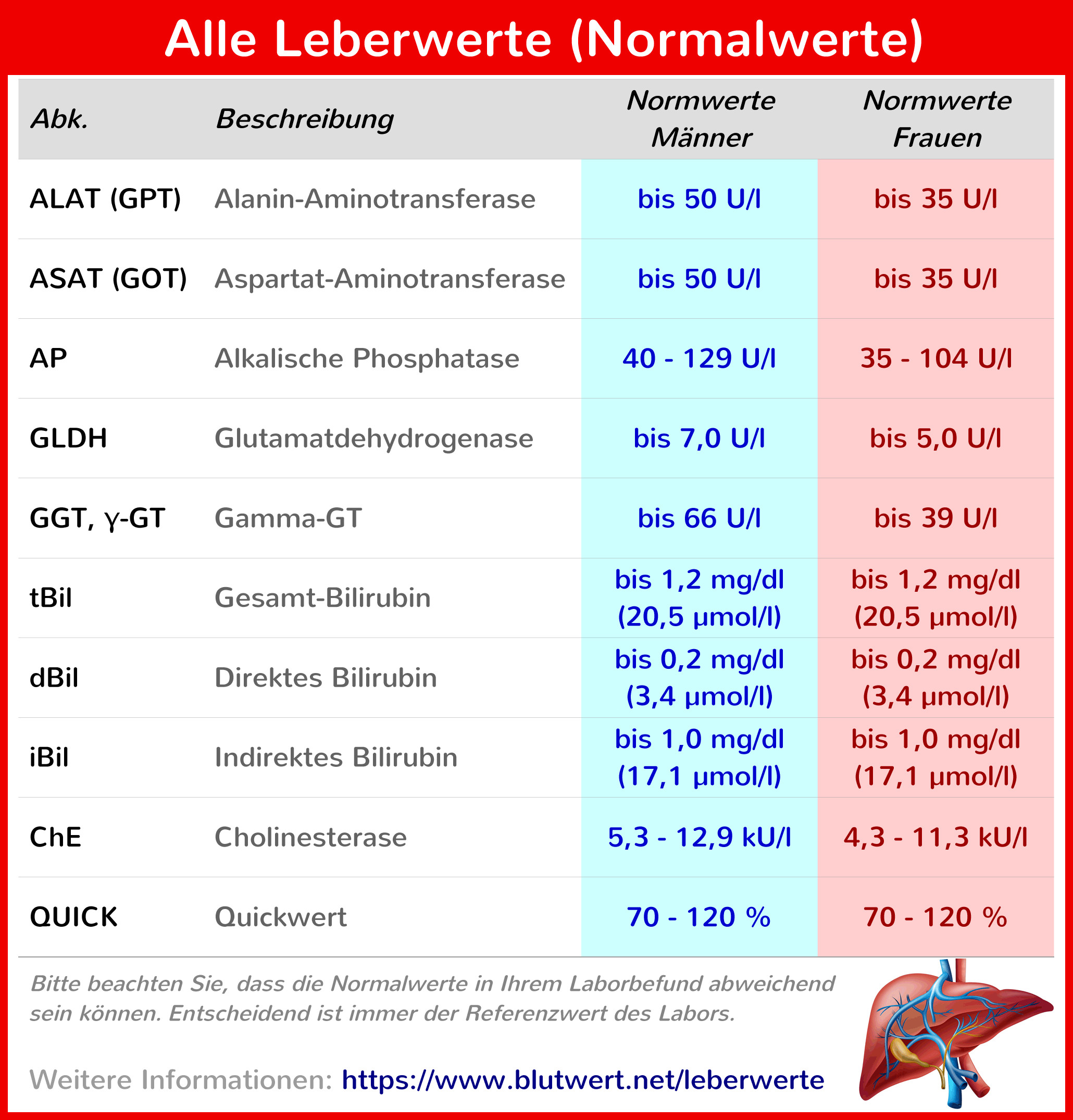 Blutwerte Tabelle
 Alle Leberwerte einfach erklärt