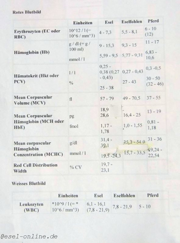 Blutwerte Tabelle
 Blutwerte des Esels Blood levels of the donkey