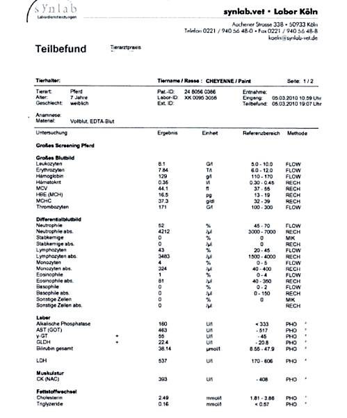 Blutwerte Tabelle
 Verwandte Suchanfragen Zu Blutwerte Tabelle