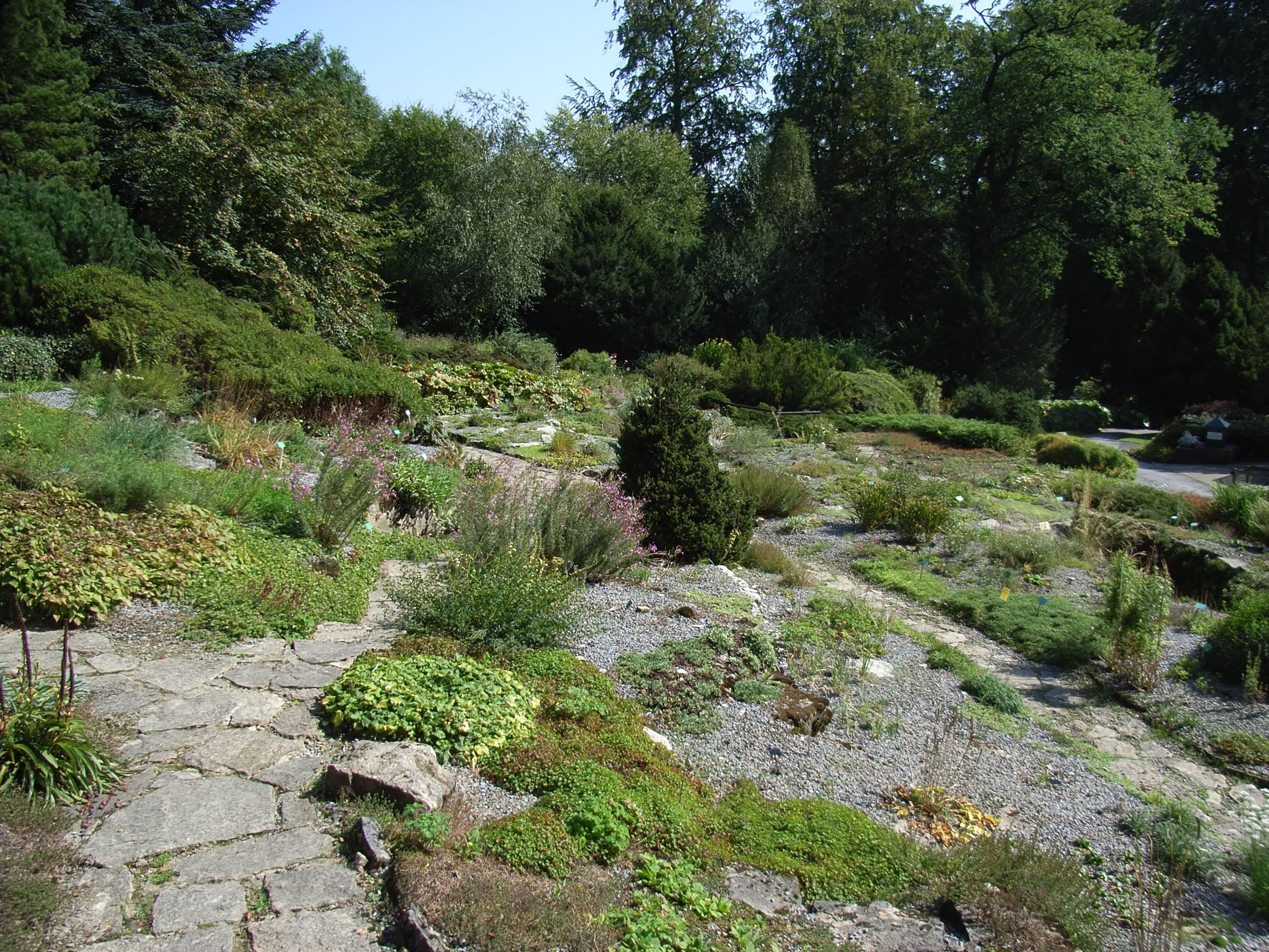 Botanischer Garten Bielefeld
 File Bielefeld Botanischer Garten Alpinum 2