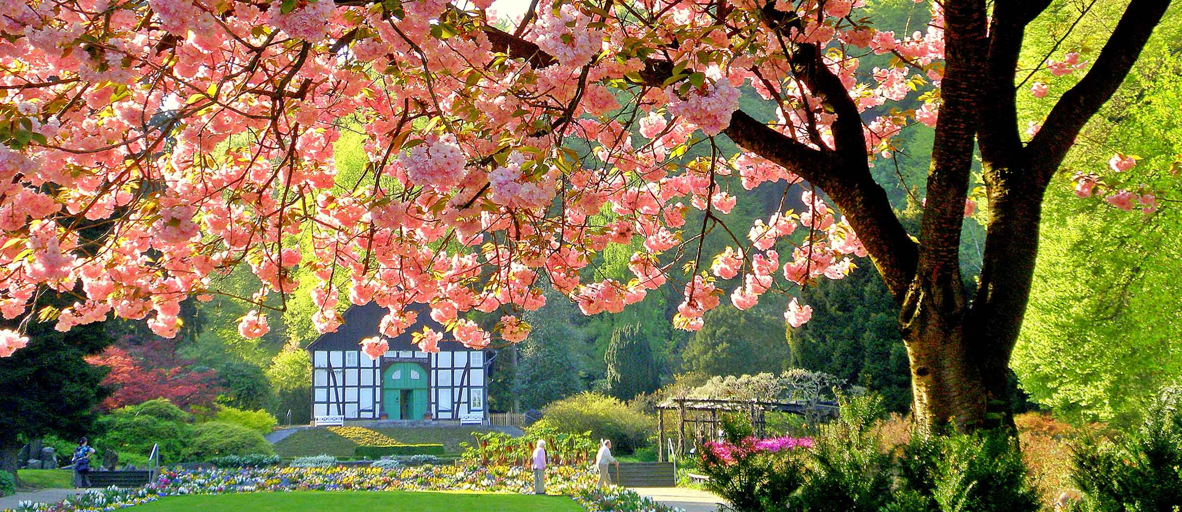 Botanischer Garten Bielefeld
 Verein Freunde des Botanischen Gartens Bielefeld e V