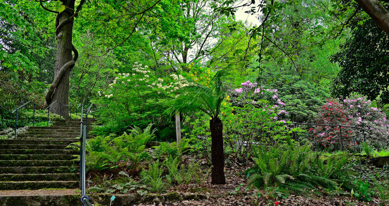 Botanischer Garten Bielefeld
 Pflanzenwelten Verein Freunde des Botanischen Gartens