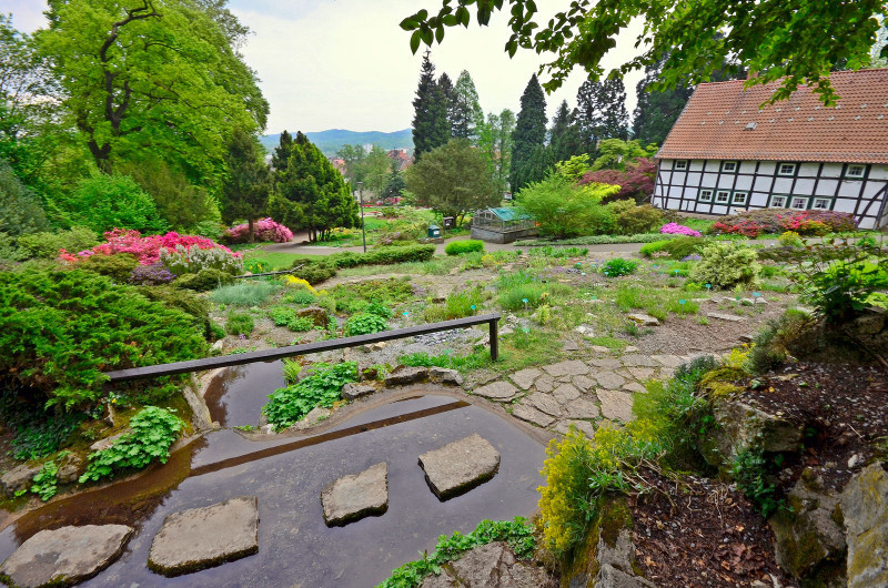 Botanischer Garten Bielefeld
 Pflanzenwelten Verein Freunde des Botanischen Gartens