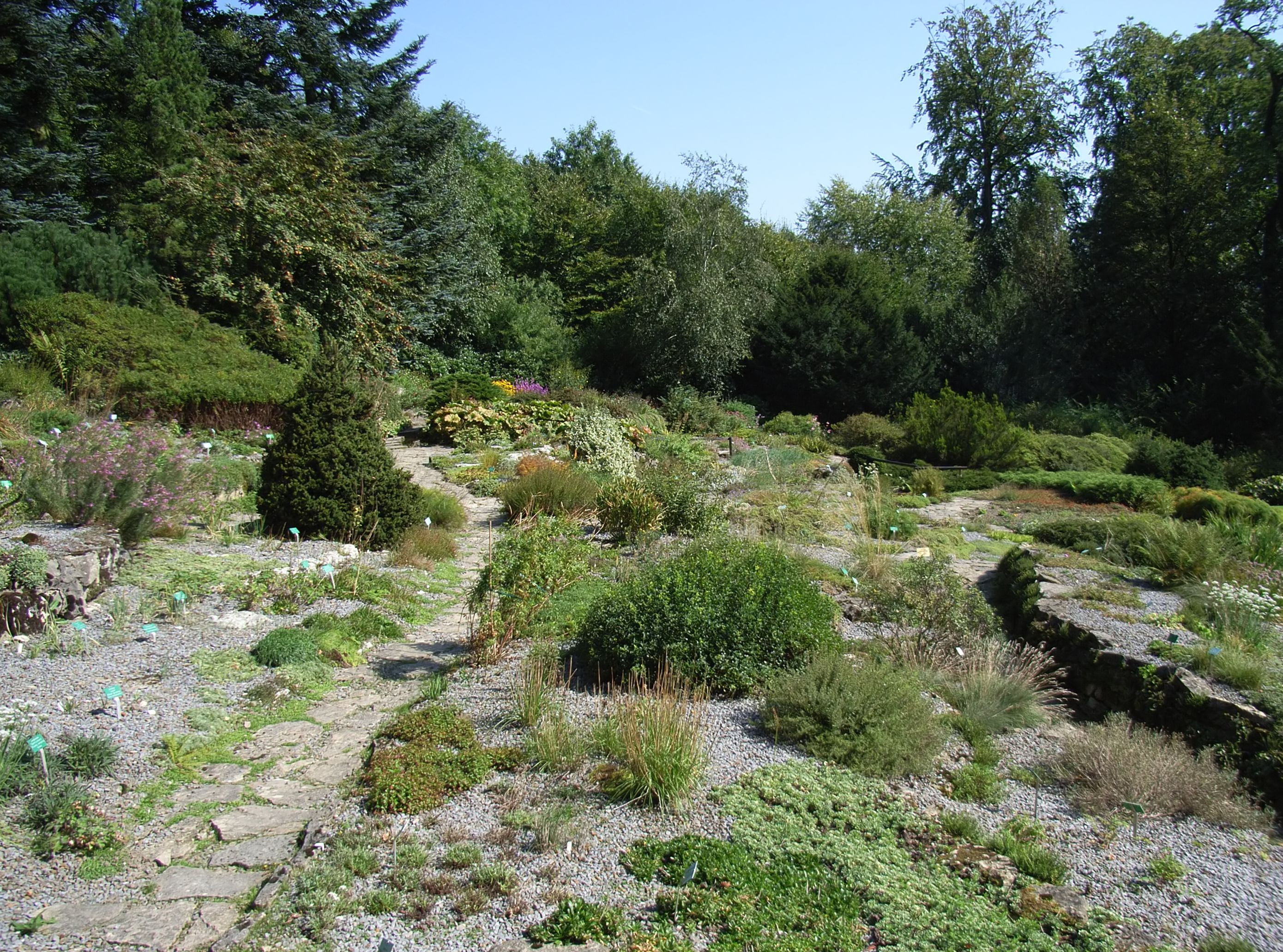 Botanischer Garten Bielefeld
 Botanischer Garten Bielefeld