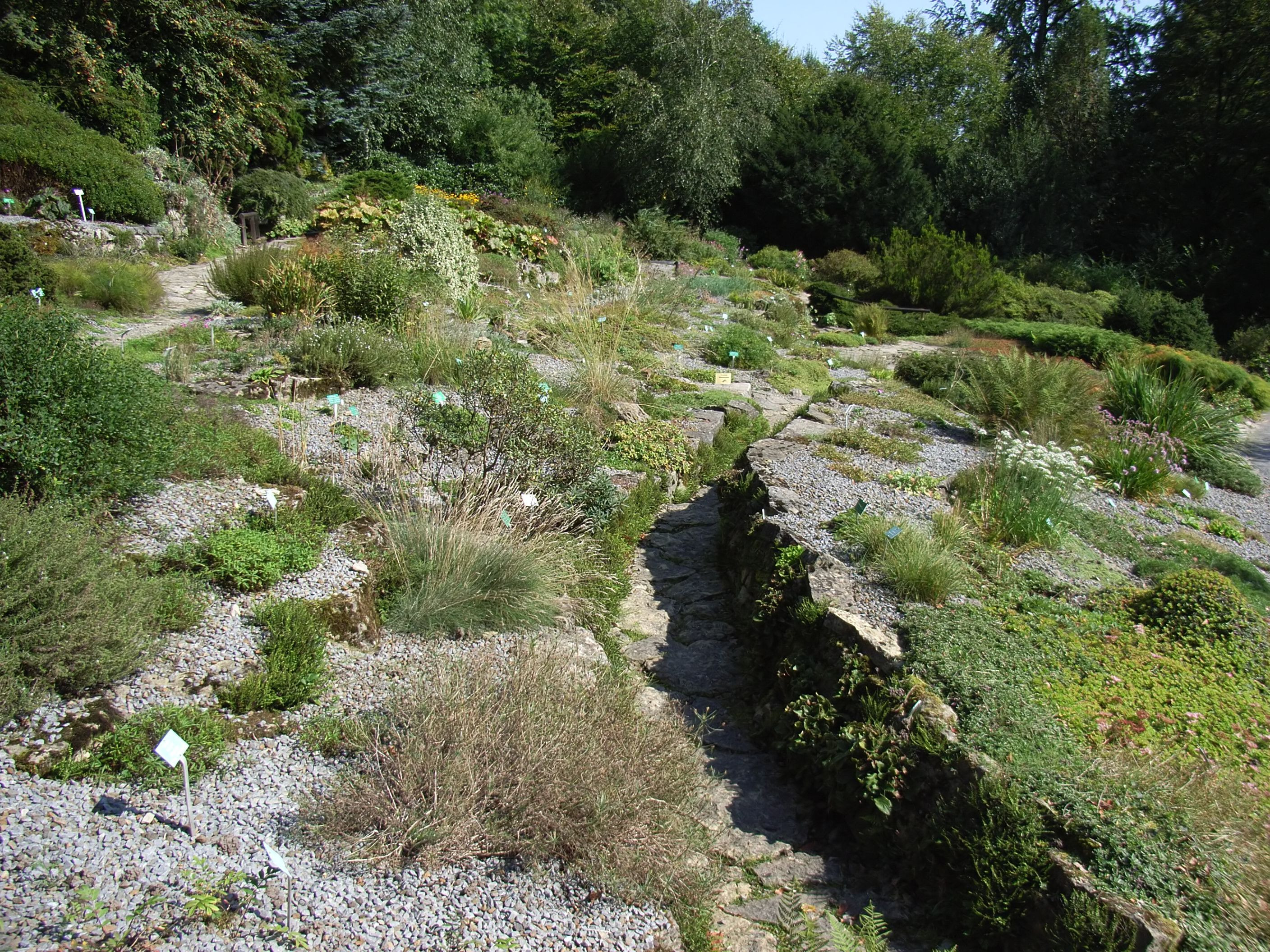 Botanischer Garten Bielefeld
 File Bielefeld Botanischer Garten Alpinum 3