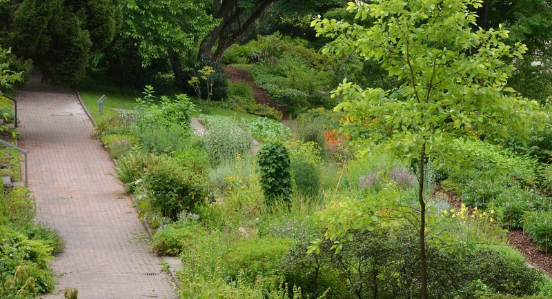 Botanischer Garten Bielefeld
 Pflanzenwelten Verein Freunde des Botanischen Gartens