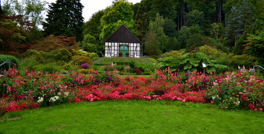 Botanischer Garten Bielefeld
 Botanischer Garten Bielefeld Foto & Bild