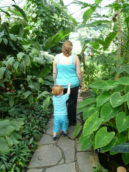 Botanischer Garten Chemnitz
 Ausflugsziel Botanischer Garten Chemnitz