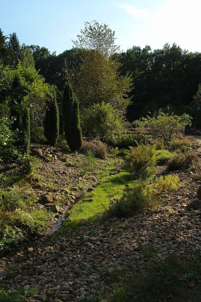 Botanischer Garten Chemnitz
 Botanische Gärten in Sachsen