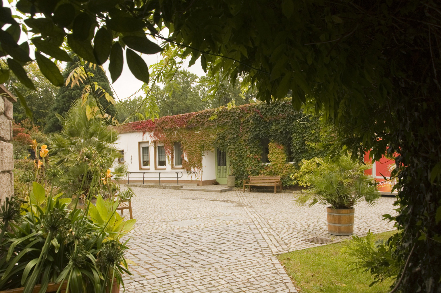 Botanischer Garten Chemnitz
 Botanischer Garten