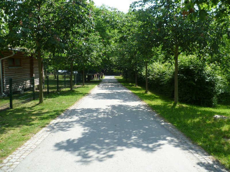 Botanischer Garten Chemnitz
 Ausflugsziel Botanischer Garten Chemnitz