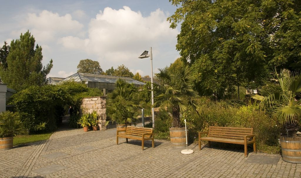 Botanischer Garten Chemnitz
 120 Jahre Botanischer Garten