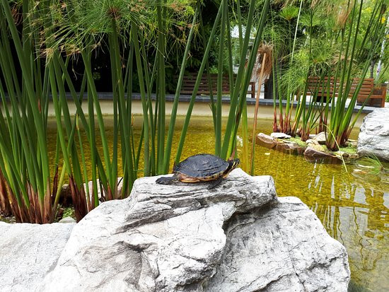 Botanischer Garten Chemnitz
 Botanischer Garten Chemnitz Aktuelle 2018 Lohnt es sich