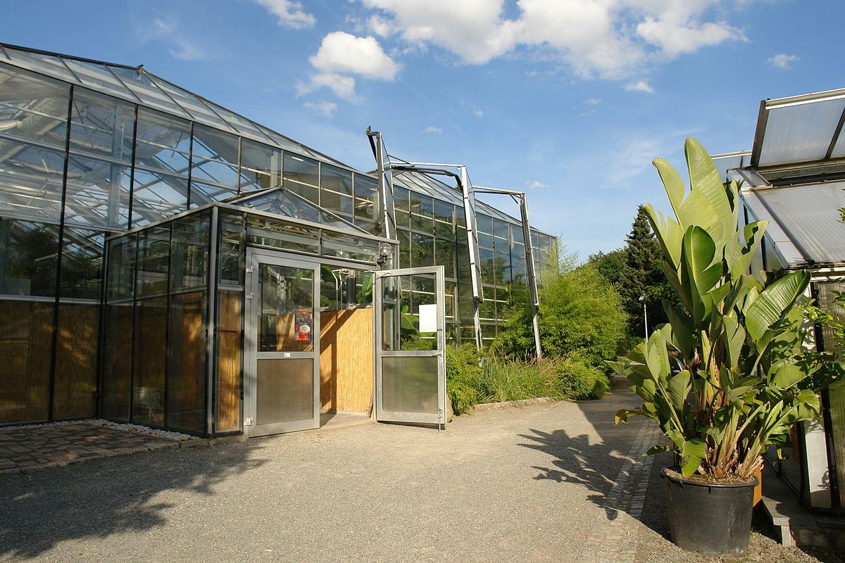 Botanischer Garten Chemnitz
 Botanischer Garten Chemnitz –