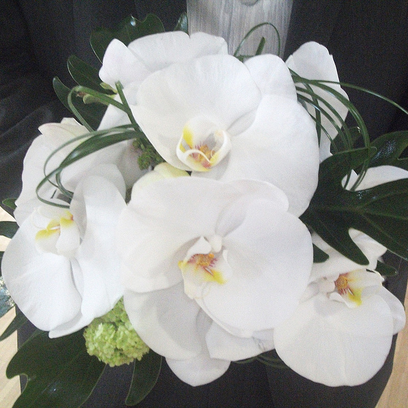 Brautstrauß Orchidee
 Brautstrauß Orchidee 99 00