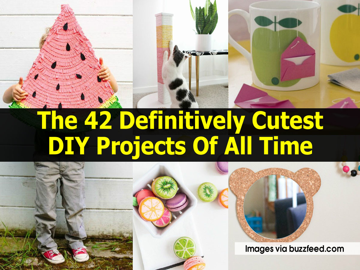 Buzzfeed Diy
 The 42 Definitively Cutest DIY Projects All Time