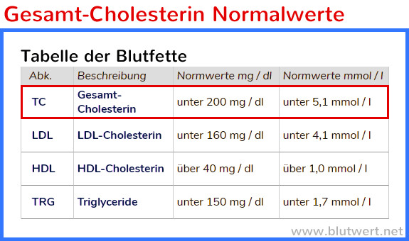 Cholesterin Tabelle
 Cholesterin Normalwerte Tabelle