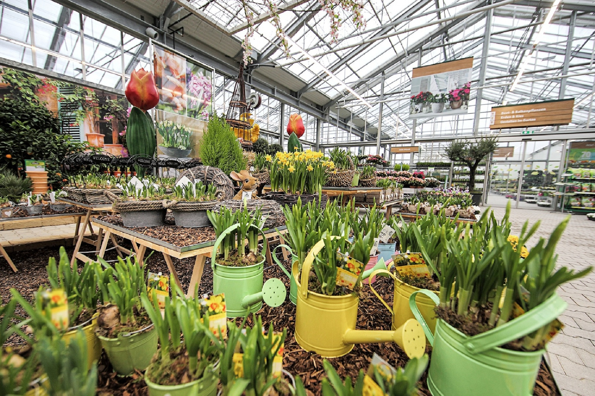 Dehner Garten
 Dehner auf Wachstumskurs Neueröffnung des Garten Centers