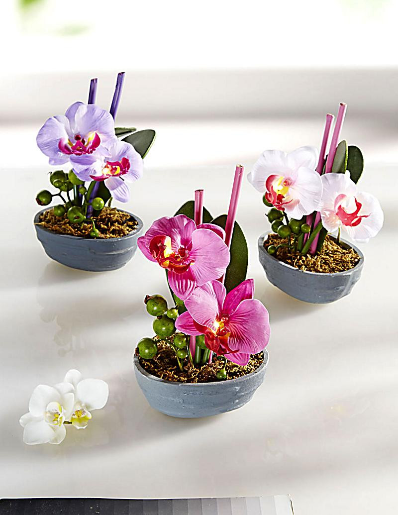 Deko Geschenke
 Deko Orchideen mit LED 3er Set jetzt bei Weltbild