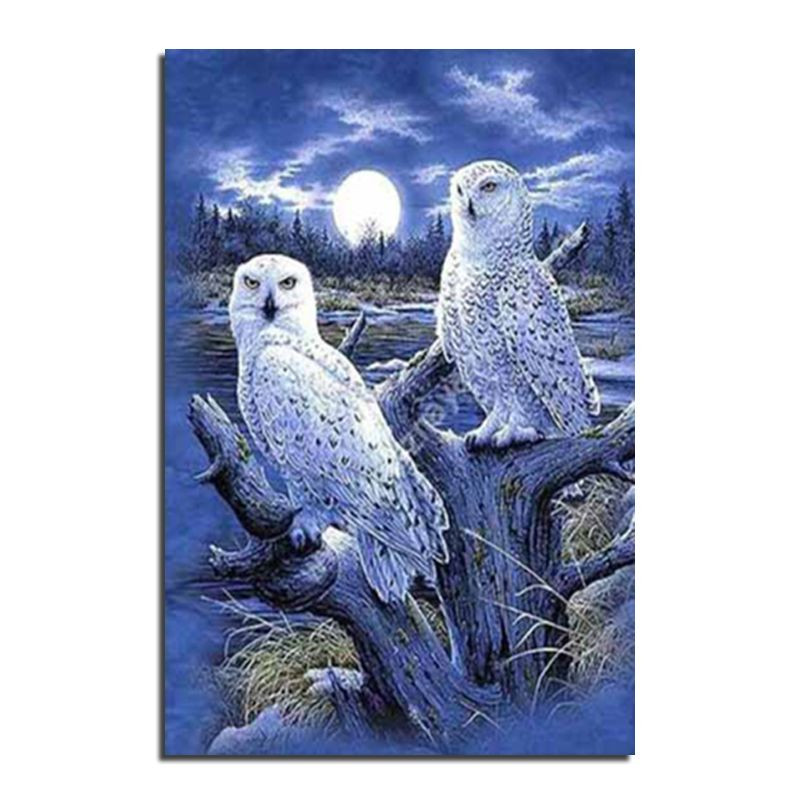 Diy 5D Diamond Painting
 5D DIY Diamond Painting Owl 5D DIAMOND PAINTING