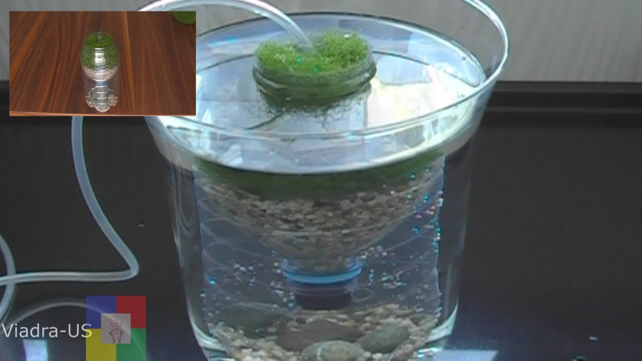 Diy Aquarium 20 Der Besten Ideen Für Diy Aquarium Filter Testing A Prototype Biofilter Air