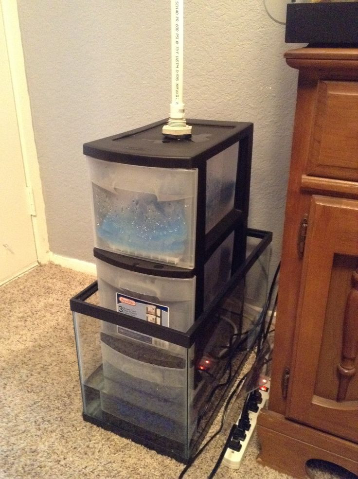 Diy Aquarium
 Wet dry trickle filter don t need to be expensive Just