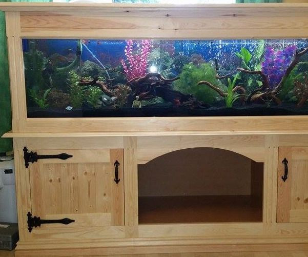 Diy Aquarium
 Best 20 Fish tank stand ideas on Pinterest
