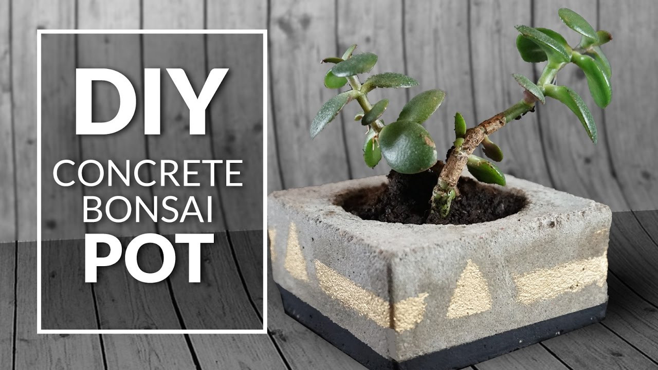 Diy Beton
 DIY concrete pot bonsai flower beton pot