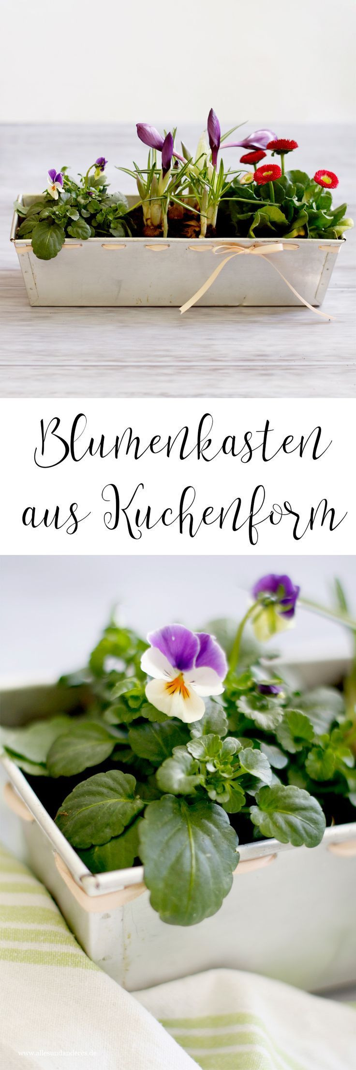 Diy Blumenkasten
 DIY Von der Kuchenform zum Blumenkasten