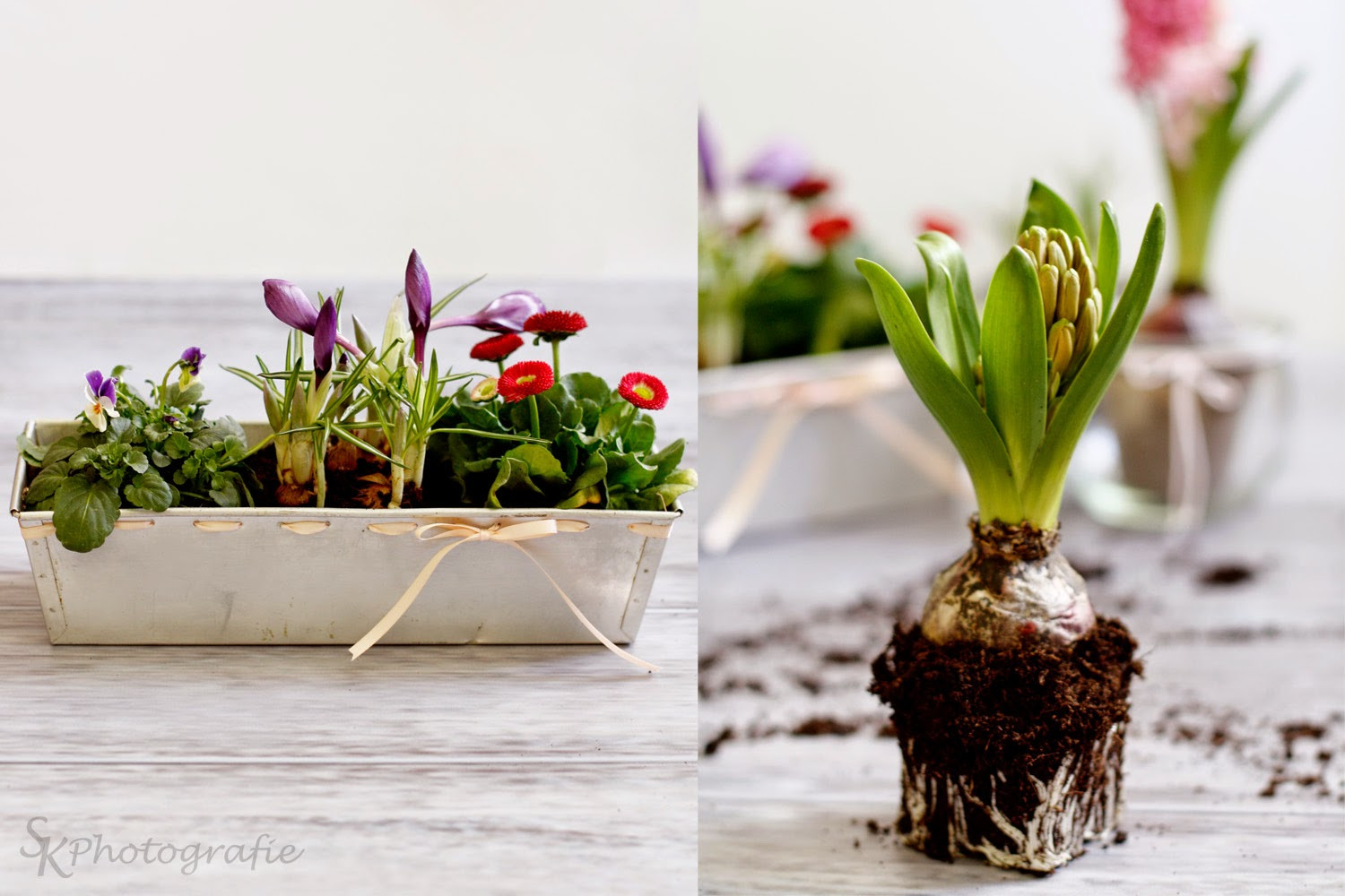 Diy Blumenkasten
 Alles und Anderes DIY Von der Kuchenform zum Blumenkasten